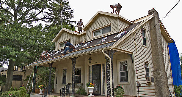 Best Storm Damage Roof Repair  in Jamestown, ND